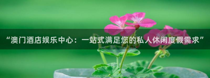 wg电子：“澳门酒店娱乐中心：一站式满足您的私人休闲度假需求”