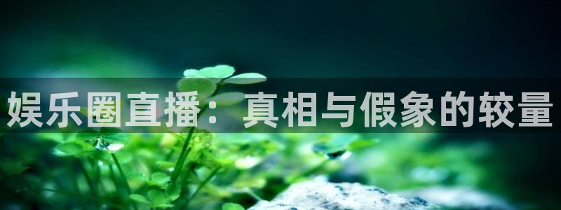 wg电子平台：娱乐圈直播：真相与假象的较量