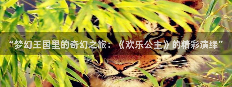 wg电子：“梦幻王国里的奇幻之旅：《欢乐公主》的精彩演绎”