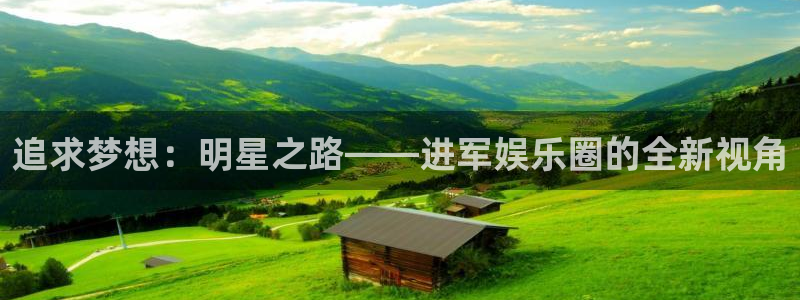 wg电子平台：追求梦想：明星之路——进军娱乐圈的全新视角