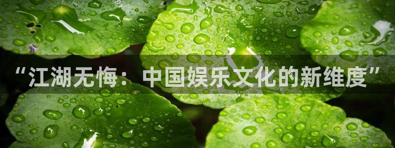 wg电子：“江湖无悔：中国娱乐文化的新维度”